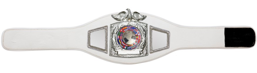 PROEAGLE SILVER WORLD FLAGS CHAMPIONSHIP BELT - PROEAGLE/S/FLAGS - AVAILABLE IN 6+ COLOURS